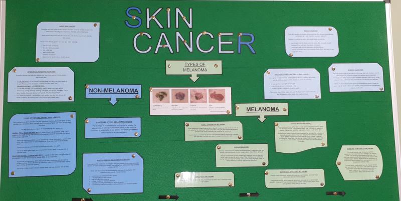 Skin Cancer board
